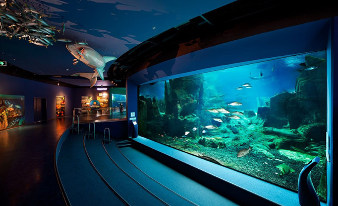 istanbul-aquarium-2.jpg