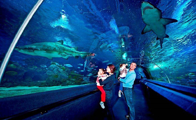 istanbul-aquarium-3.jpg